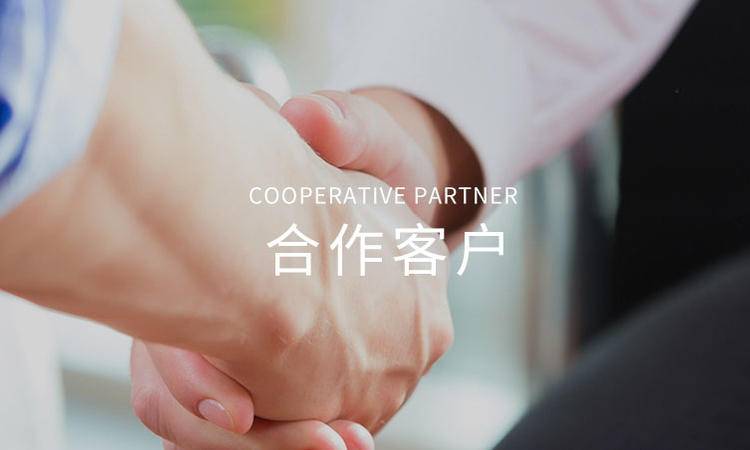 合作夥伴(bàn)