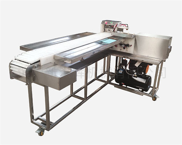 連(lián)續自動型穿串機